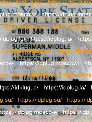 NEW-YORK O21 2022 POLYCARD V4